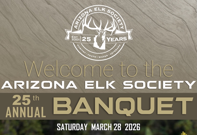 Program Advertisement