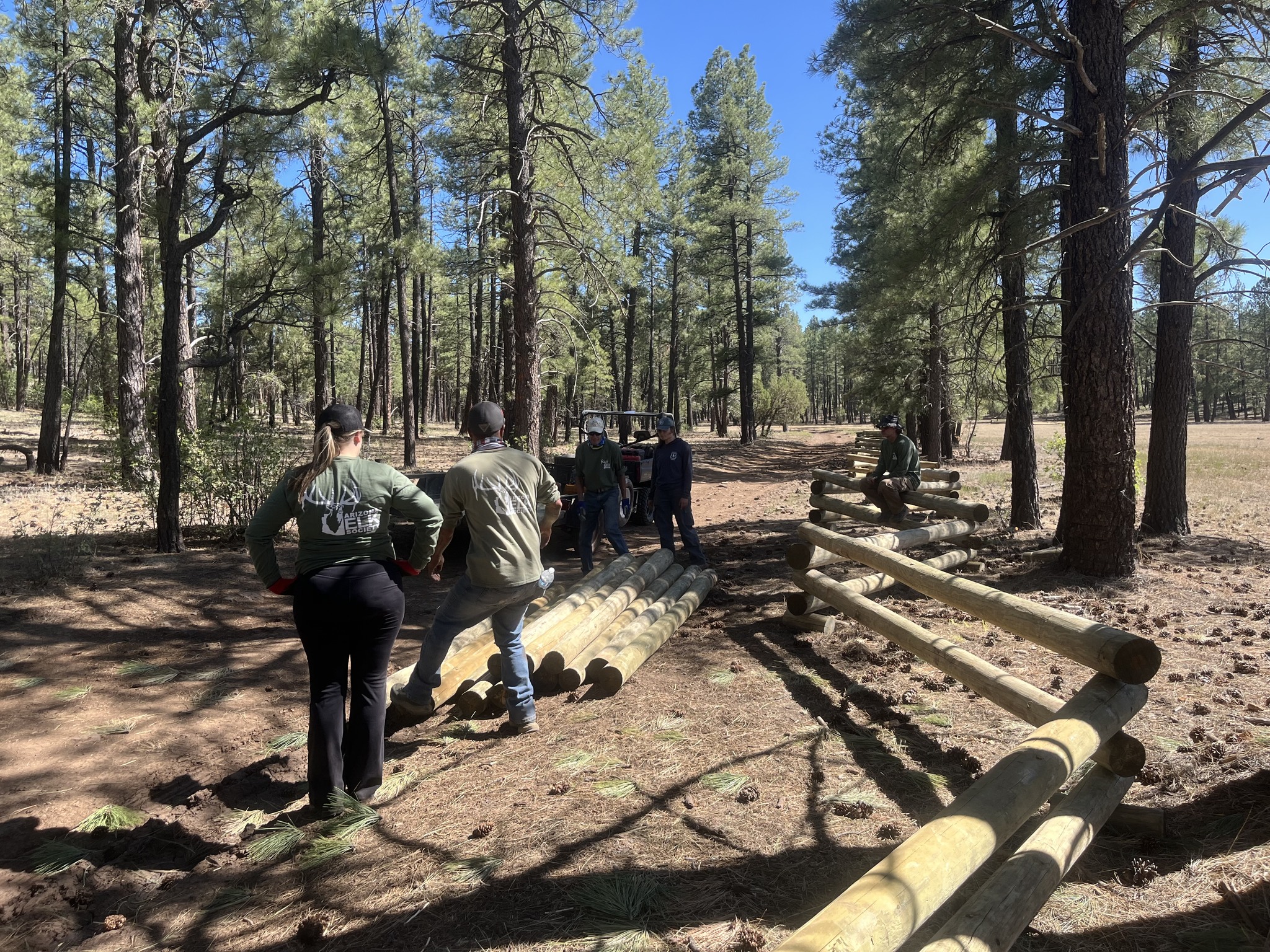 525247369 1157599483069815 3400566599061685736 n