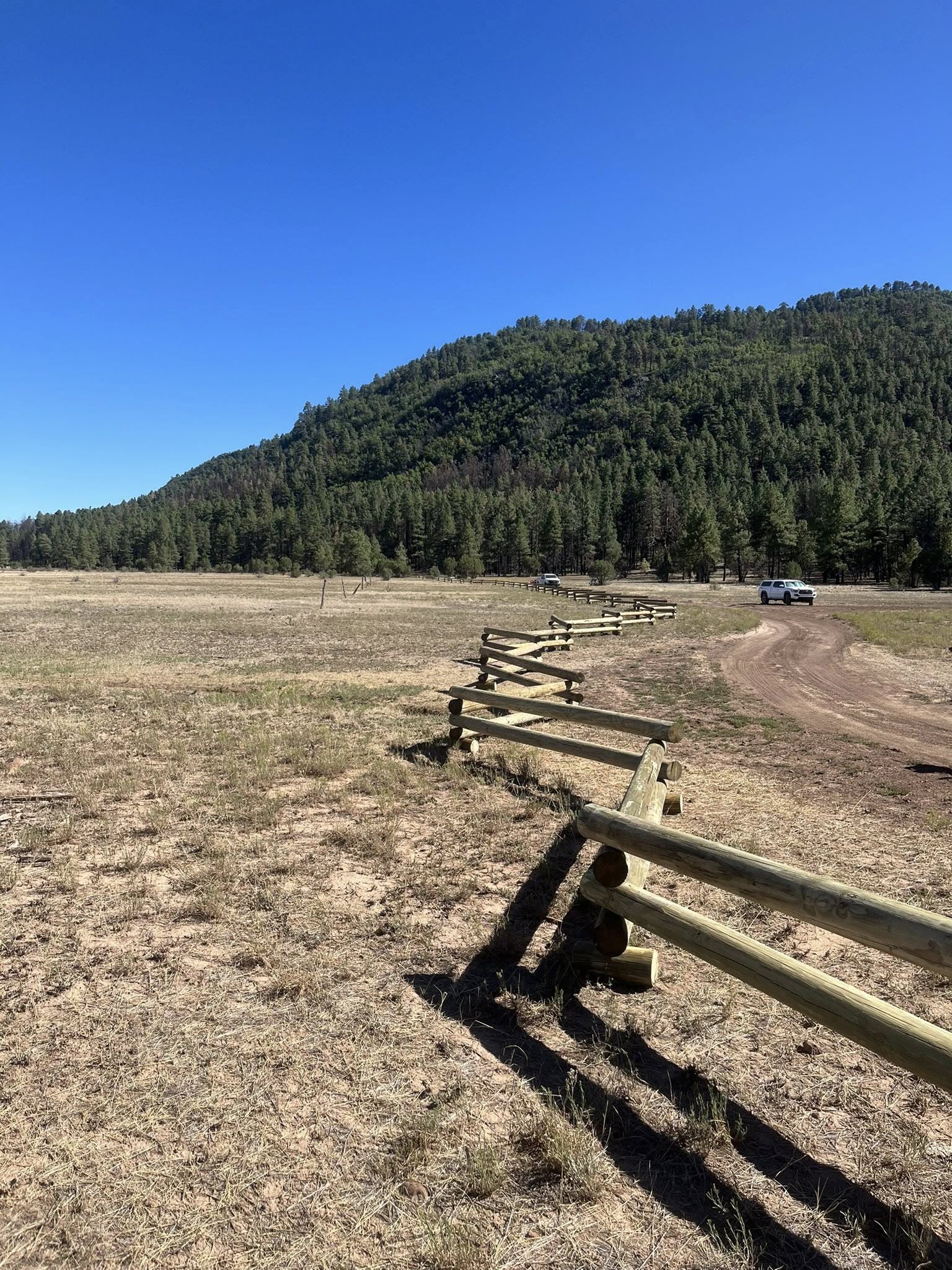 526732637 1163243065838790 171082913376798042 n