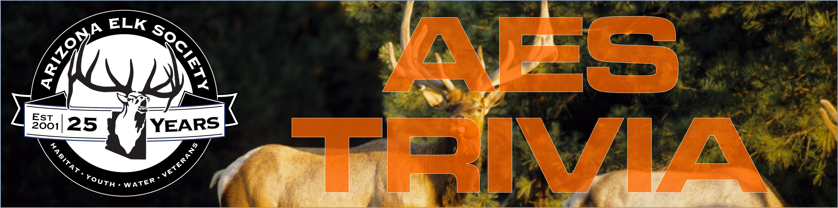 ON THE HORIZON web banner 01